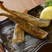 北海道では『ごたっぺ』と呼ばれる「こまい」の一夜干し。独自の製法で、その独特の甘みや旨みがぐっと引き出され【九四六屋】ならではの味わいに。一度食べた人はほとんどがリピーターになるという人気の逸品です。