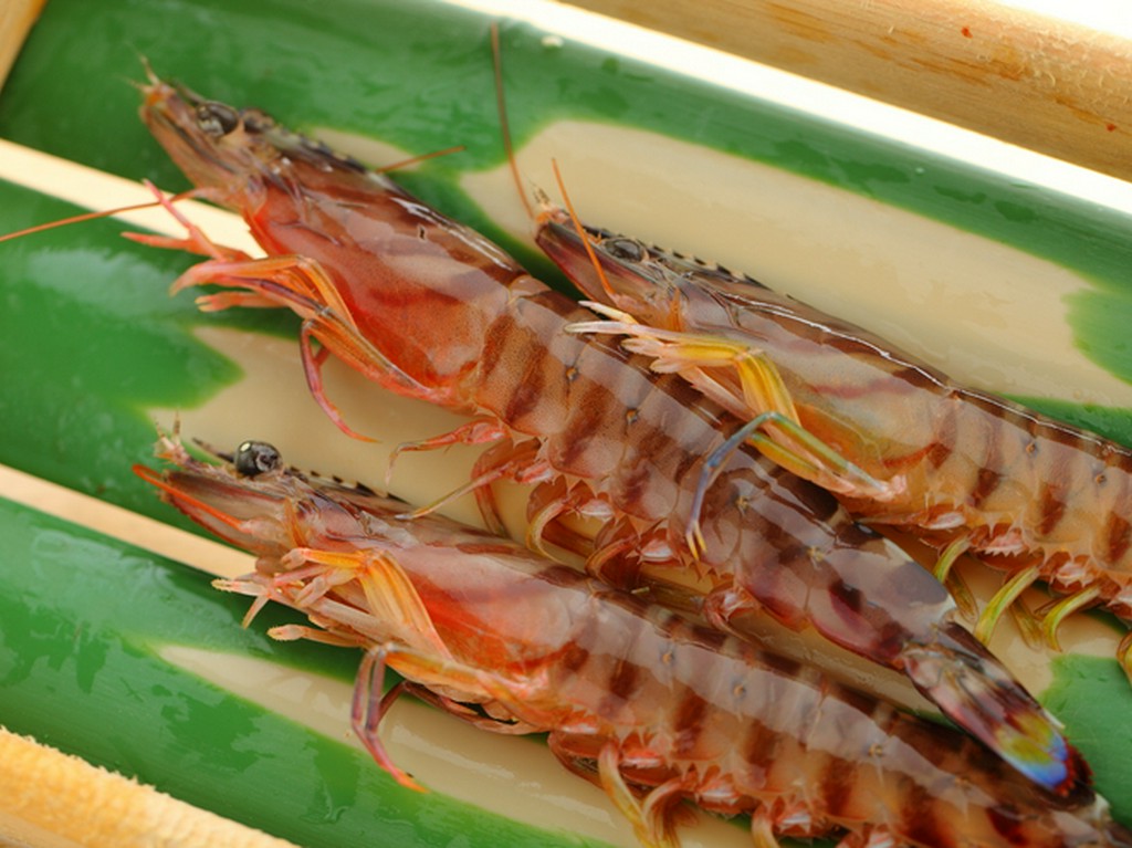 築地でその日に仕入れた食材のみを使った料理を提供しています　