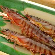 最も新鮮な食材を使用して料理をつくり、提供することが、最もおいしい料理を届けること。そのため、築地で厳選した新鮮食材を、その日のうちに使いきるように心がけています。