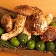 秋のコースに欠かせない松茸は、10月をメインに、長野、北海道、岩手、宮城の各地から仕入れています。早い時期にはつぼみ、旬にはかさのひらいた松茸と、それぞれ異なる香りや味わいを楽しめるよう工夫しています。