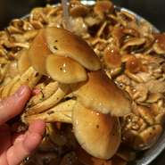 食材もお酒も全部日本産　地方の旬を楽しみましょう！