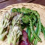 女将の故郷より天然の山菜が届きます。
毎年4月～5月半ばあたり。
こごみ、タラの芽、行者にんにく、しどけ、などなど。山の幸で溢れます！
天ぷらや油炒めなど。