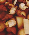 冬の楽しみ。鳥取や兵庫から届きます。季節ものですのでお問い合わせくださいませ。