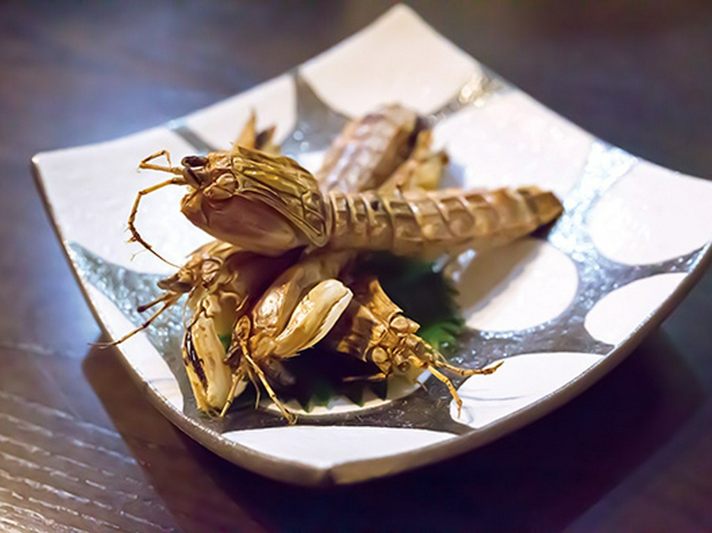 旬の厳選素材をあしらった逸品の数々