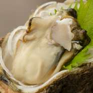 夏場に旬を迎える「岩牡蠣」は、粒が大きく濃厚でクリーミーな旨みが特徴です。味付けは、牡蠣本来のほのかな塩毛だけで十分なほど。追加注文をする方、そしてリピーター率が高い人気の期間限定メニューです。