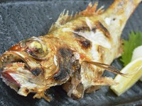 素材本来の旨さを堪能！のどくろをはじめ日本海で採れた鮮魚をご用意。仕入れもとことんまでこだわります！