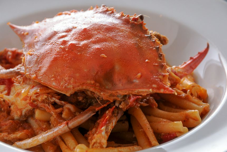 大切な人と本格イタリアンをお楽しみください。