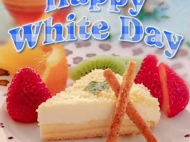 宝塚のランチおすすめランキング トップ7 ヒトサラ