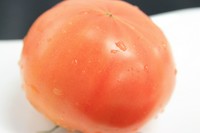 厳選トした完熟手前のトマト。ジューシーさと水水しさを岩塩で！