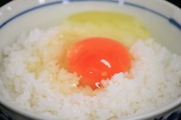 トリフの香りと玉子の濃厚な味わいとコシヒカリが美味しい！