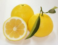 宮崎県では日向夏、高知県ではこなつと呼ばれる柑橘系！　甘めのグレープフルーツっぽい！