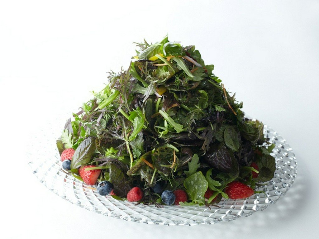 ジャッジョーロ名物『15種類のハーブサラダ』