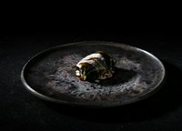 旬の蓮根や冬瓜、黒無花果を、大葉など緑の野菜で包んだ一皿。伝統的なフレンチをイメージしつつも、野菜の出汁のみから作ったソースと無花果の葉のオイルにより、複雑味が増した味わいと様々な食感が楽しめます。