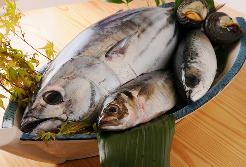 旬の食材を使ったお料理もお楽しみください。(活伊勢海老、活長太郎貝などもございます)