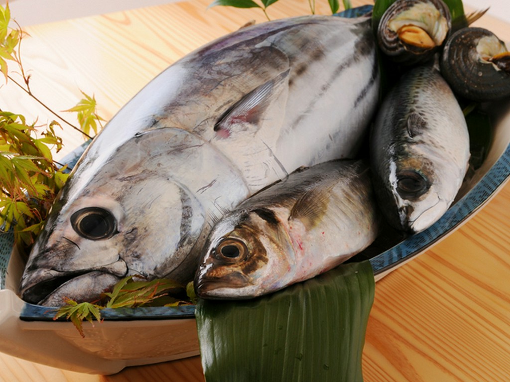 旬の食材を使ったお料理もお楽しみください。(活伊勢海老、活長太郎貝などもございます)