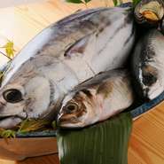 暖厨では、季節食材を使ったお料理も取り揃えております。
暖厨で高知の旬味をお楽しみください。
※天候、仕入れ状況によりお出しできない場合もございますので、お店まで一度ご確認下さい。