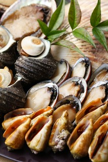 新鮮な活貝もお出ししております。