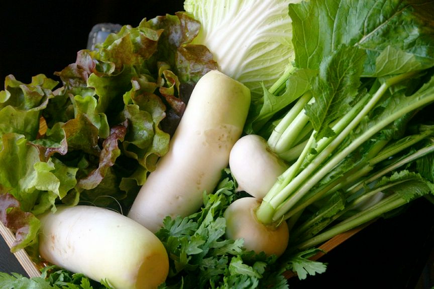 店主が自家菜園で育てあげた、農薬不使用の新鮮野菜をふんだんに