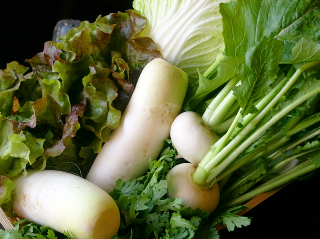 店主が自家菜園で育てあげた、農薬不使用の新鮮野菜をふんだんに