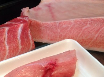 ステーキのようなトロ