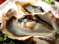 『島根県産 岩ガキ』