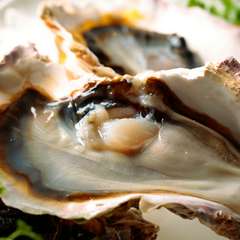 『島根県産　岩ガキ』