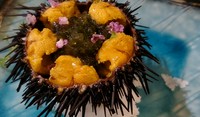 ＜先付・前菜・お造り・メイン・中皿・旬菜皿・土鍋炊き込み御飯・デザート＞
ﾍﾞｰｼｯｸｺｰｽとしてお薦めさせて頂いております。