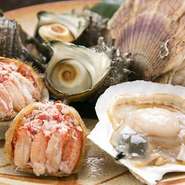 塩竃港、石巻港、気仙沼港、女川港など、、近県の港で水揚げされた魚介類。旬のものを刺身や炙りでご堪能いただけます。日本酒のあてに最高です。