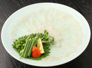 『てっさ』は薄く切り、食感を楽しむふぐの王道料理です