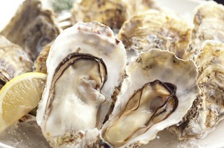 旬と鮮度にこだわった、さまざまな魚介類をご提供しています
