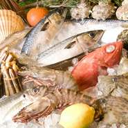 近海で獲れたものを中心に、全国から届く旬の魚介類はどれも新鮮なものばかり。シンプルにお刺身でいただくと、心地良い食感と旨みが存分に堪能できます。鮮度と食材の良さが際立つ逸品ぞろいです。