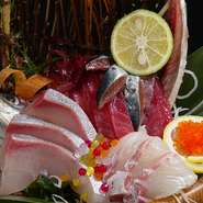 新鮮な徳島の海の幸を使用した料理が豊富です！
