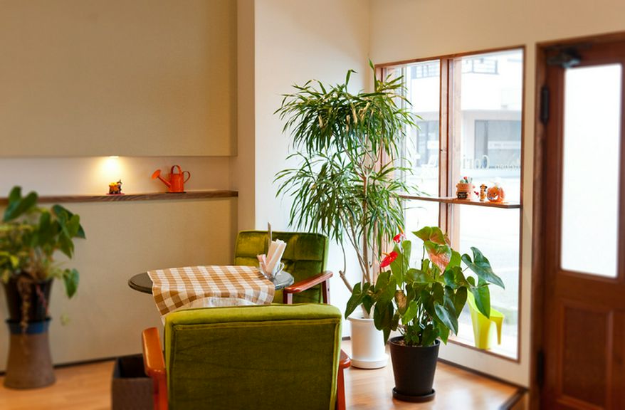 定番の洋食に充実デザート。カワイイ店内は女性にピッタリです