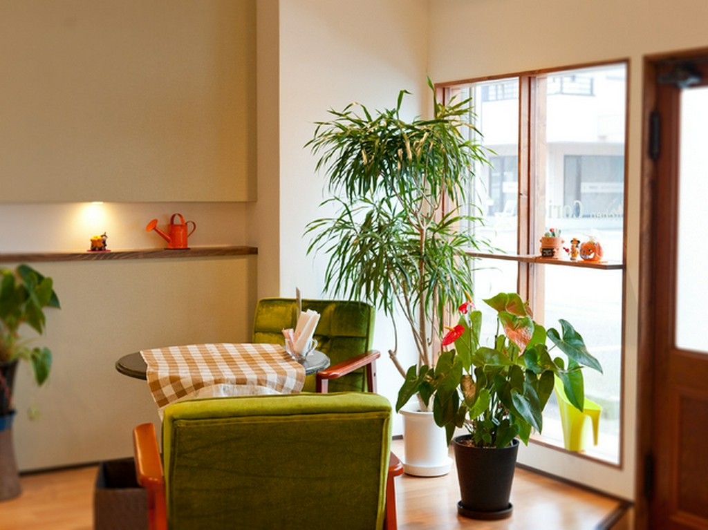 定番の洋食に充実デザート。カワイイ店内は女性にピッタリです