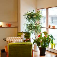 定番の洋食に充実デザート。カワイイ店内は女性にピッタリです