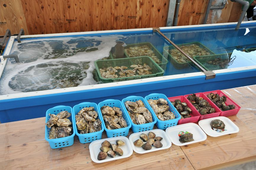 魚介類をはじめ、福岡糸島産の食材。出所確かな食材です