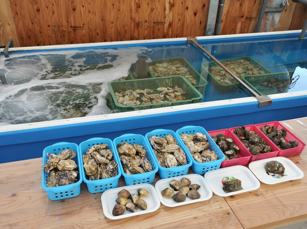 魚介類をはじめ、福岡糸島産の食材。出所確かな食材です