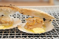 新鮮な貝の甘味と旨味がダイレクトに楽しめる網焼きの『ホタテ』一枚