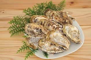 潮の香りと自然の甘味が楽しめる、糸島産の大粒の牡蠣を楽しんで