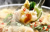 博多の本格的もつ鍋をしょうゆ味でご提供致します。