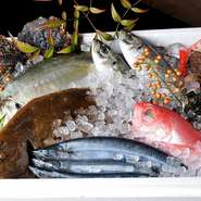 自慢の鮮魚はその時期においしいものだけを厳選し、魚の種類ごとに特有の産地にこだわって仕入れています。