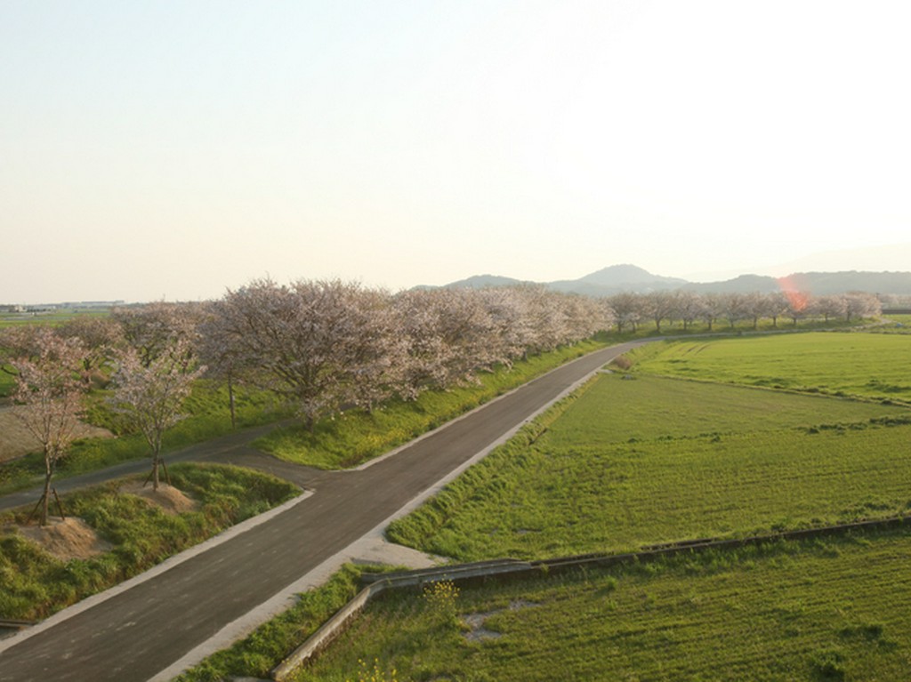 季節ごとに表情をかえる桜並木と田園風景を愉しみながら