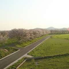 季節ごとに表情をかえる桜並木と田園風景を愉しみながら