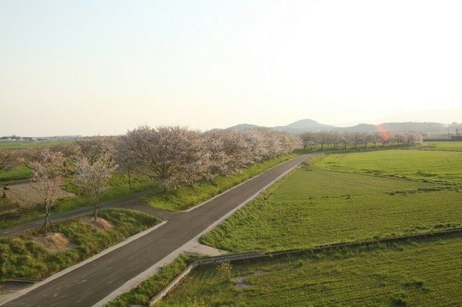 景色がきれい