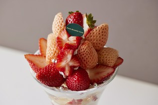 見た目も華やかなスイーツたち