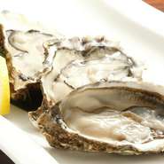 採れたての海の幸ほか、新鮮な素材の味をふんだんに活かした料理が季節ごとに楽しめます。