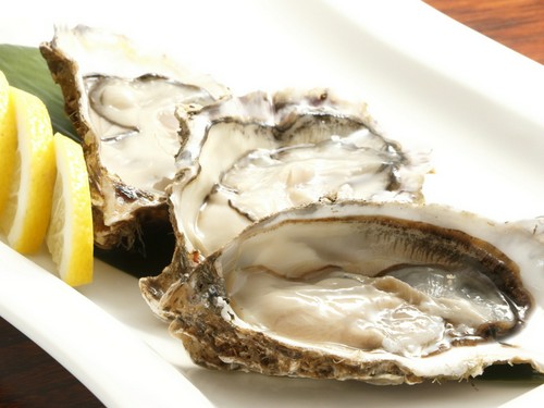 新鮮魚介をはじめ、多彩なメニューに舌鼓！