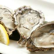 北見はオホーツク海が近いので、新鮮な魚介を毎日直送しています。それ以外の素材も厳選し、四季折々の味を楽しんでいただけるよう、毎日料理の鍛練と研究を怠りません。