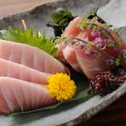 料理人が目利きをして仕入れた、純正『本マグロのお刺身』