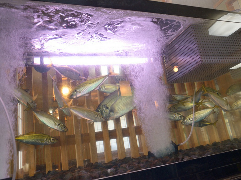 新鮮な素材をふんだんに使い、一品一品真心を込めて調理